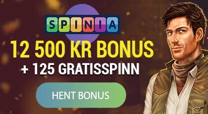 beste online casino bonussen
